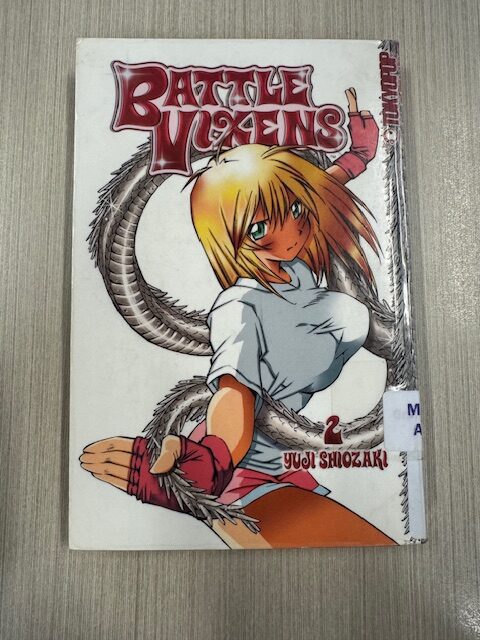 Battle vixens. Vol. 2, Wild things (Adult Graphic Novel)