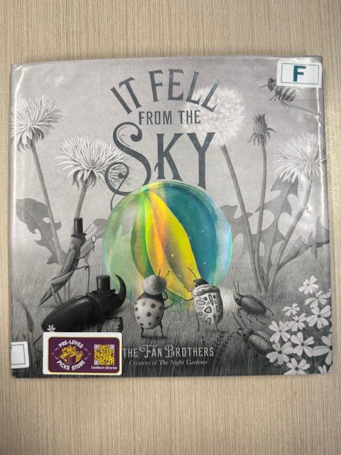 It fell from the sky / The Fan Brothers (Picture Book)