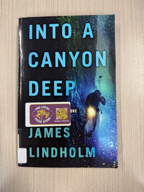 Into a canyon deep / James Lindholm
